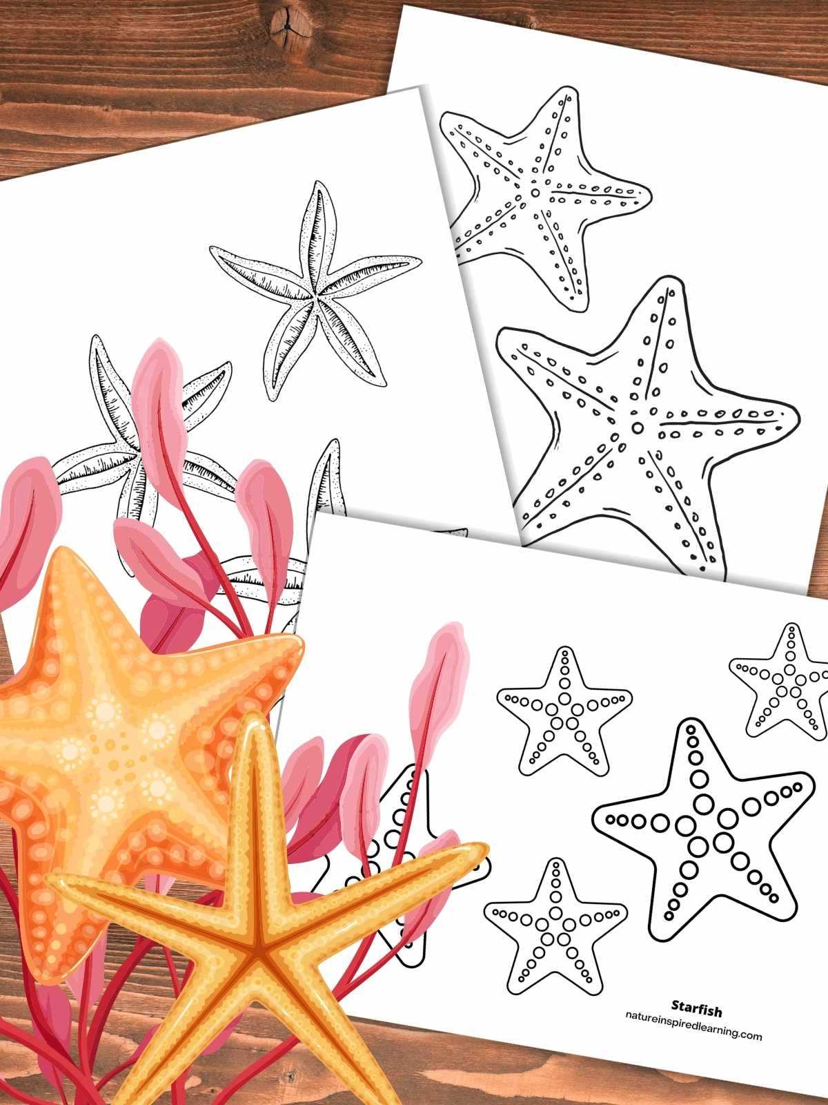 star fish printable star fish printable