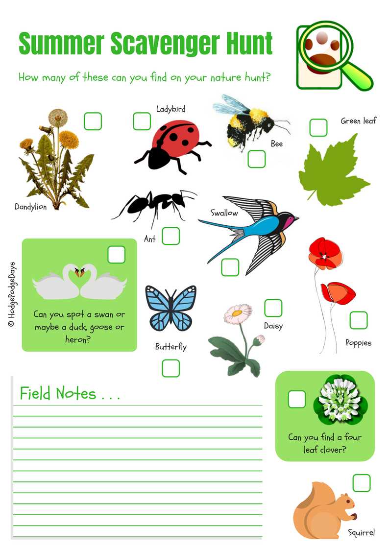 summer scavenger hunt printable summer scavenger hunt printable