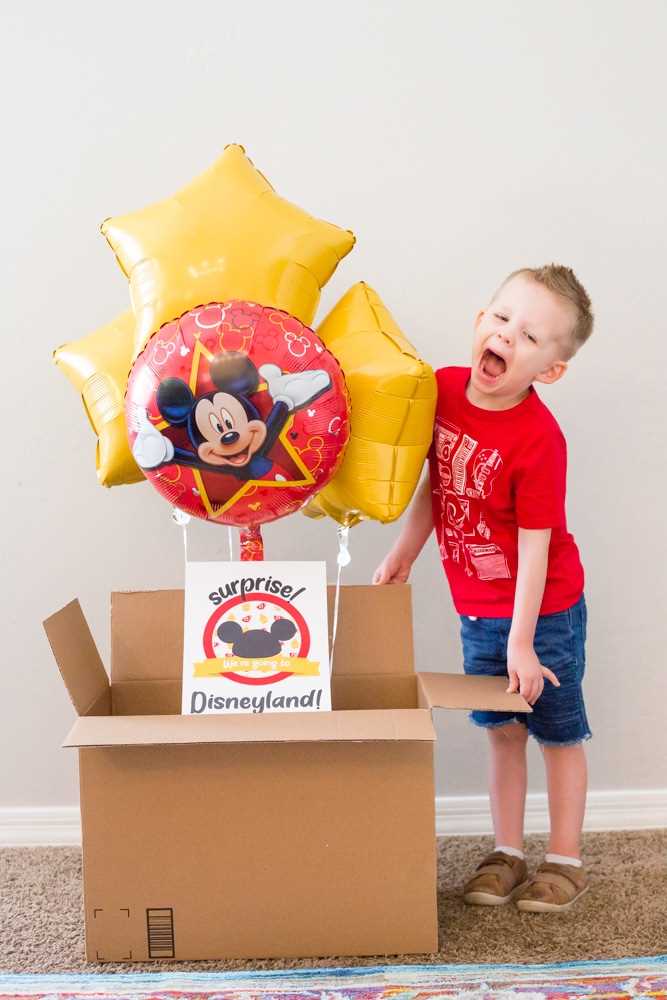 surprise were going to disney free printable