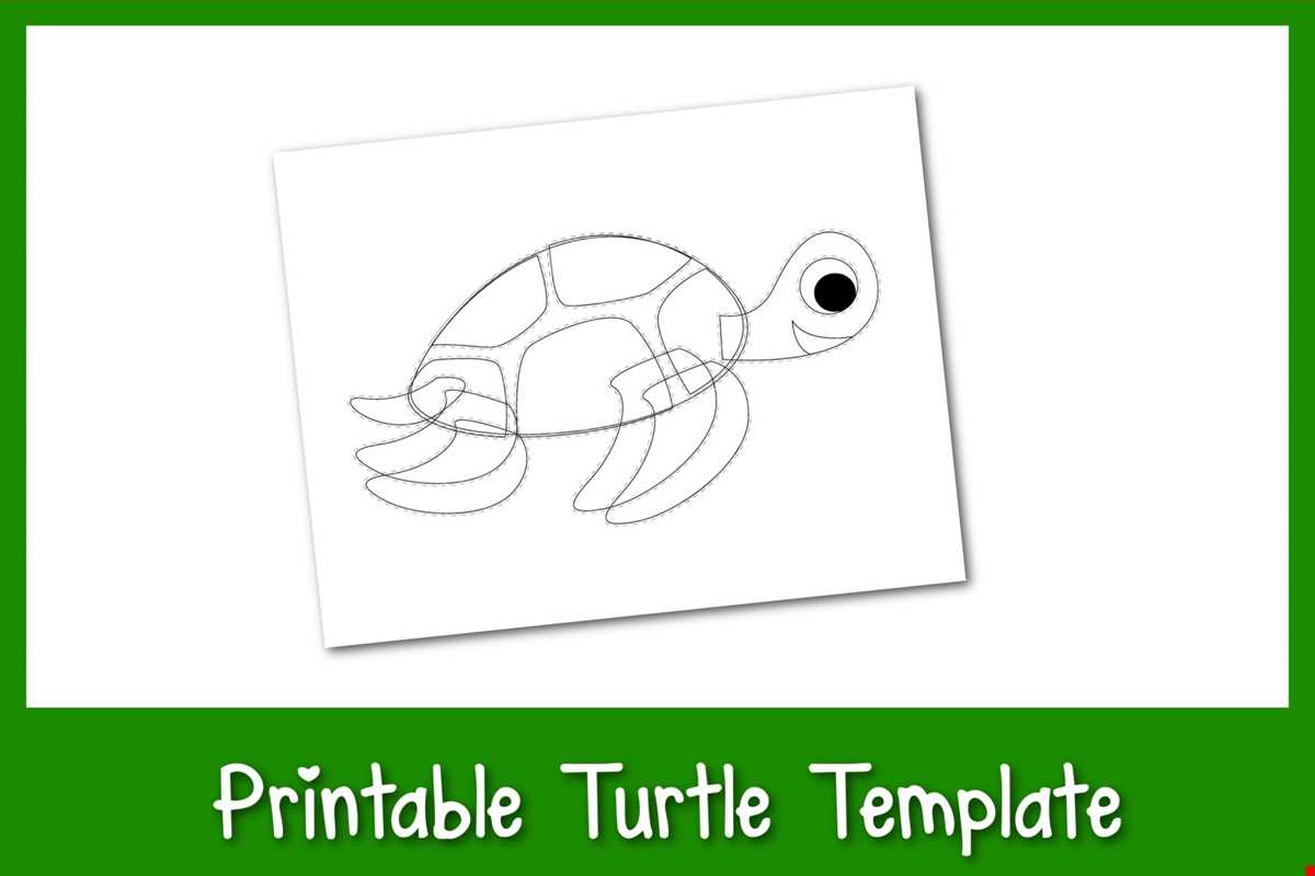 turtle outline printable turtle outline printable