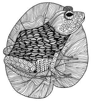 adult coloring pages printable animals adult coloring pages printable animals