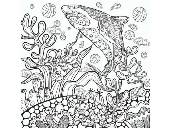 adult coloring pages printables adult coloring pages printables