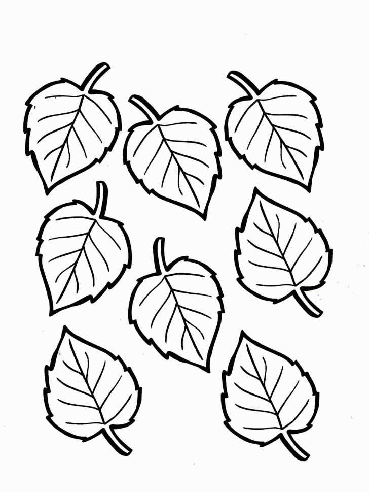 printable coloring pages fall leaves printable coloring pages fall leaves