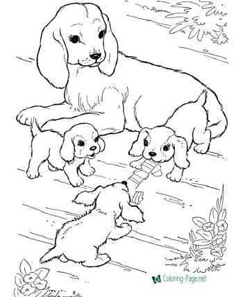 animal free printable coloring pages animal free printable coloring pages