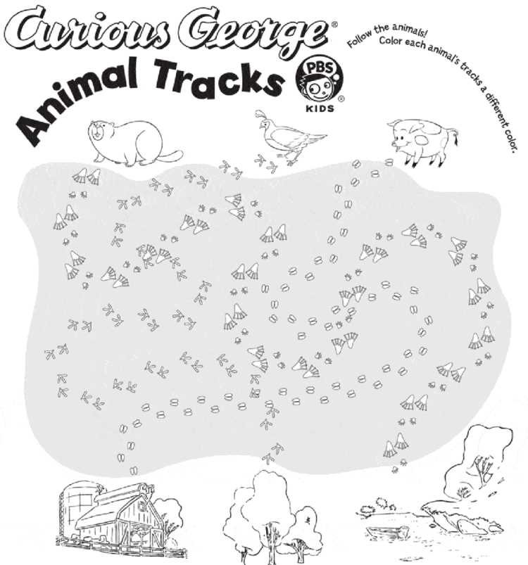 animal tracks printable animal tracks printable