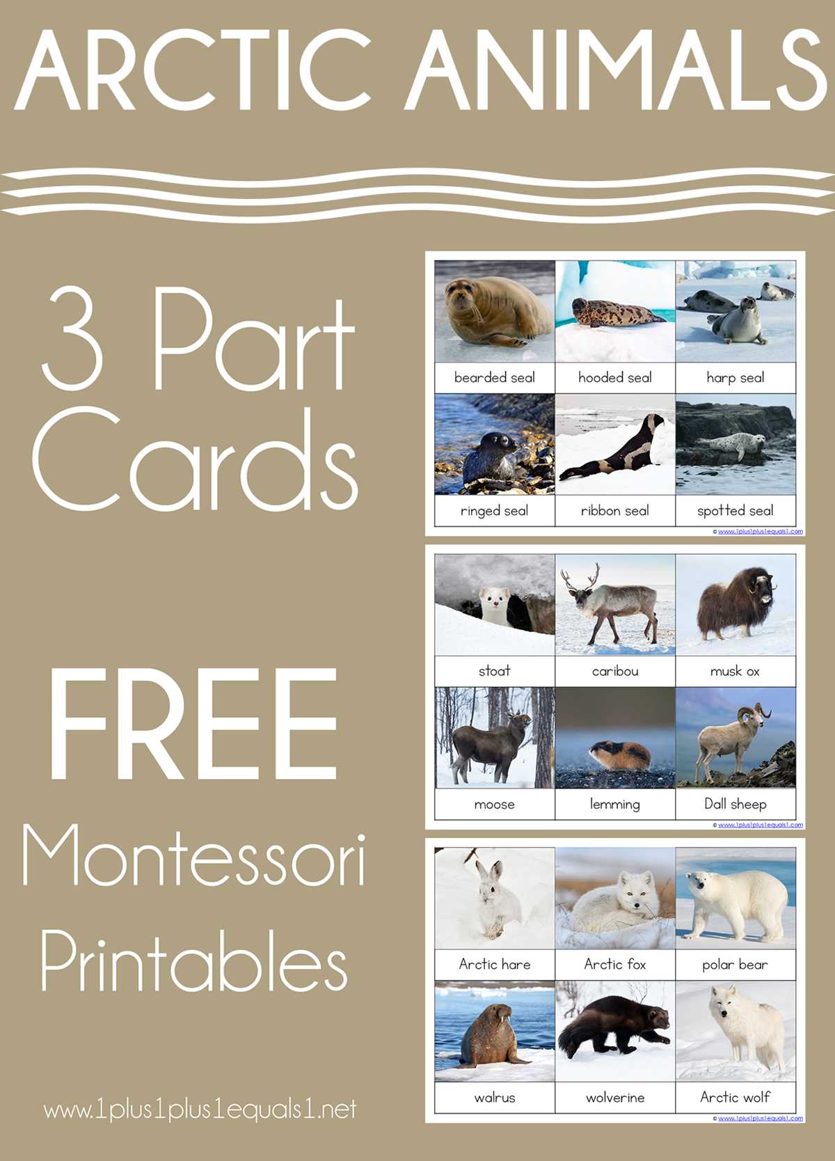 arctic animal printables