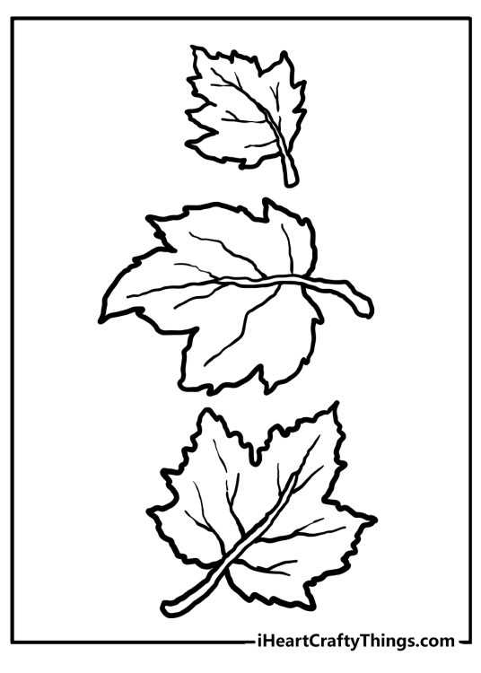 printable coloring pages fall leaves printable coloring pages fall leaves