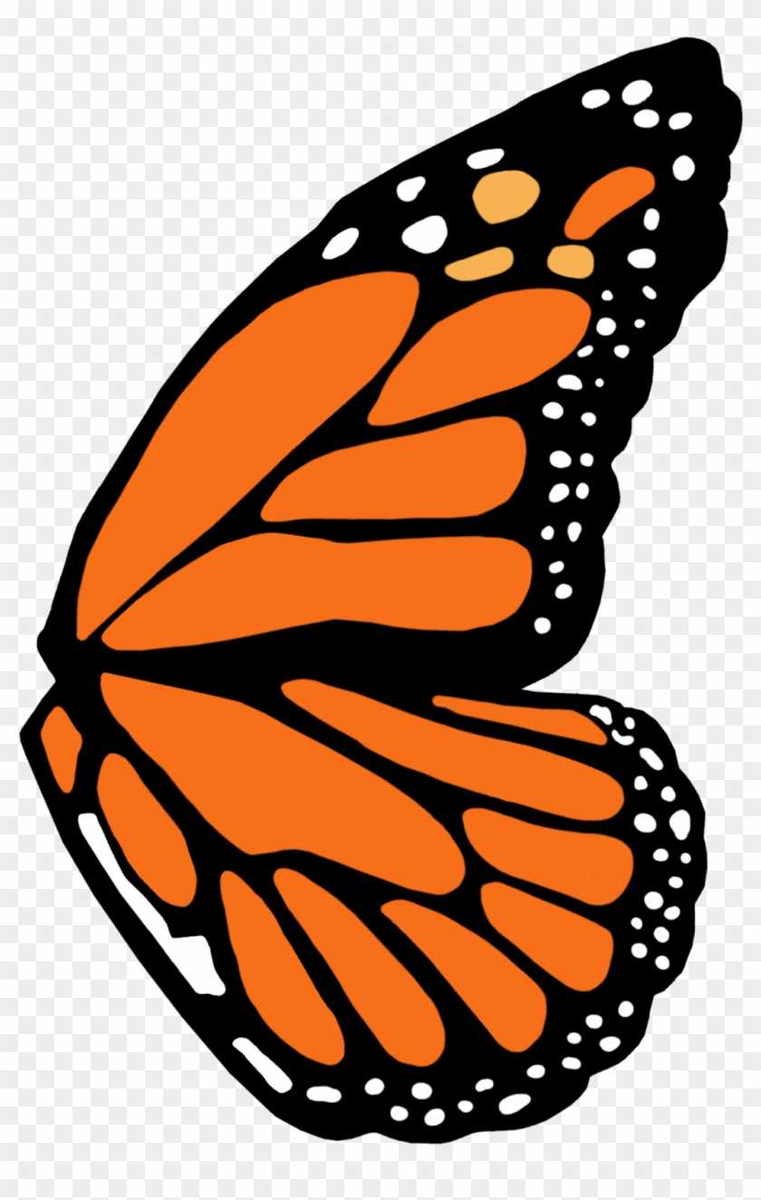 printable butterfly wings printable butterfly wings