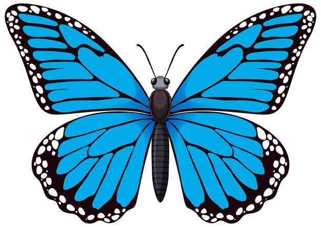 blue butterfly printable blue butterfly printable