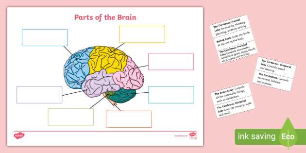 brain hat printable brain hat printable