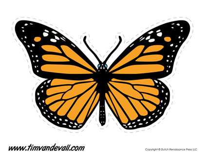 butterfly cutout printable butterfly cutout printable