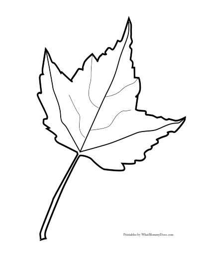 free printable maple leaf template free printable maple leaf template