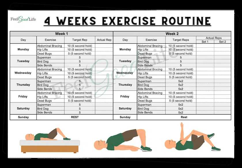 printable exercise routines for seniors printable exercise routines for seniors