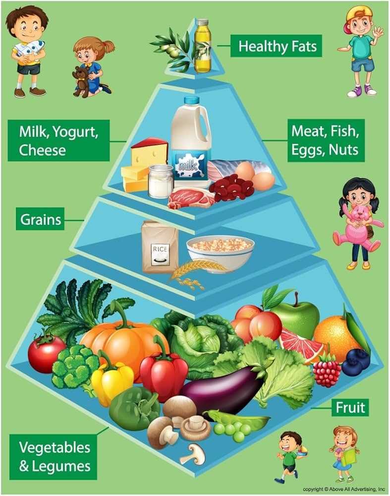 childrens food pyramid printable