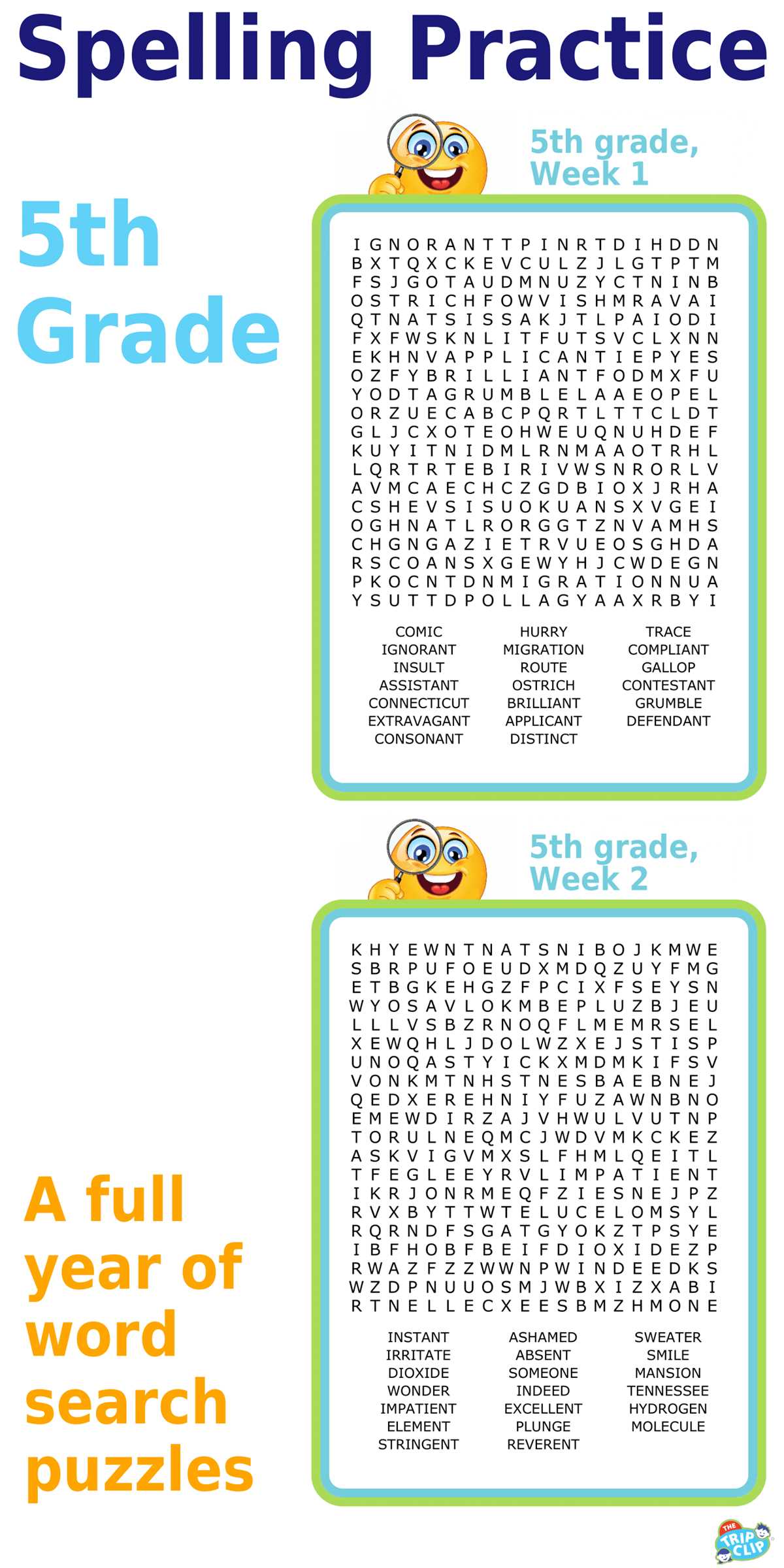 5th grade word search printable