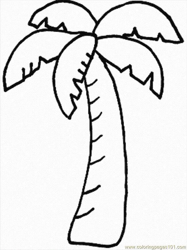 coconut tree printable coconut tree printable