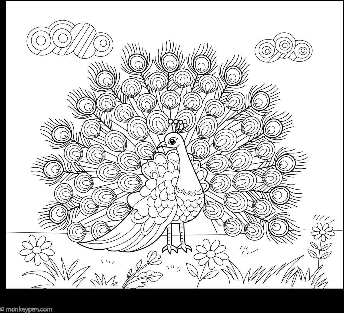 coloring pages peacock printable