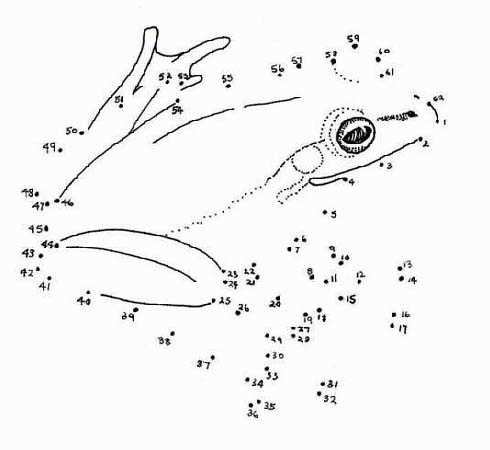 complex dot to dot printables