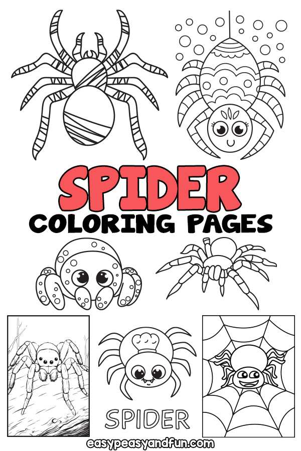 free printable spiders free printable spiders
