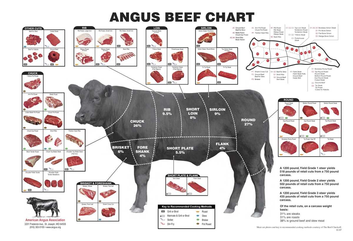 printable beef cut chart printable beef cut chart