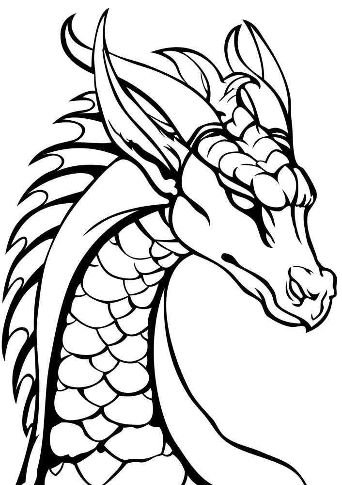 dragon colouring printable dragon colouring printable
