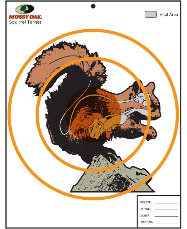 funny targets for shooting printable