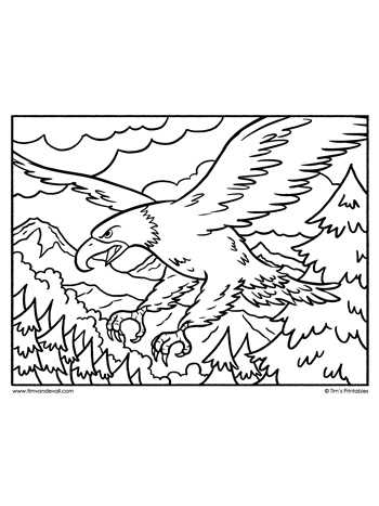 eagle coloring pages printable eagle coloring pages printable