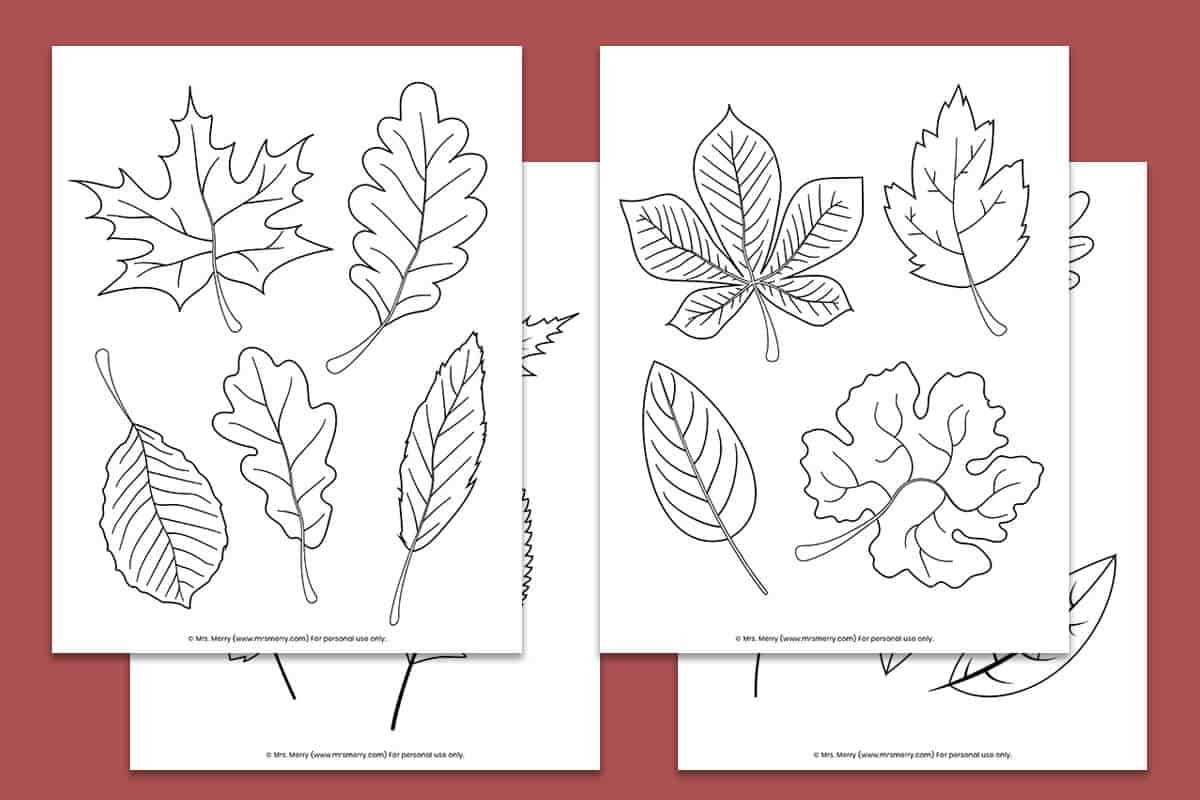 fall leaves coloring pages free printable fall leaves coloring pages free printable