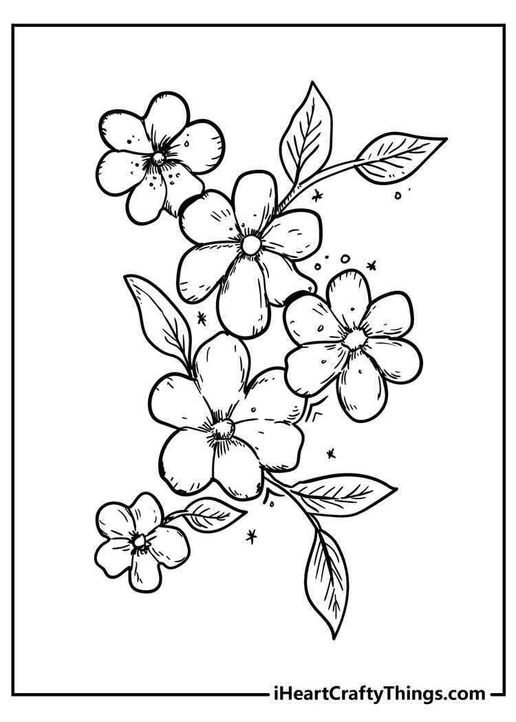 printable floral coloring pages