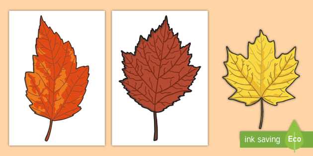 fall leaves cut out printable leaf template