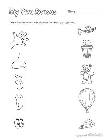 five senses activities for preschool printables