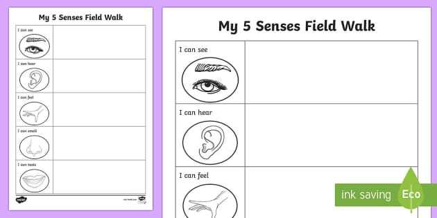 five senses printables five senses printables