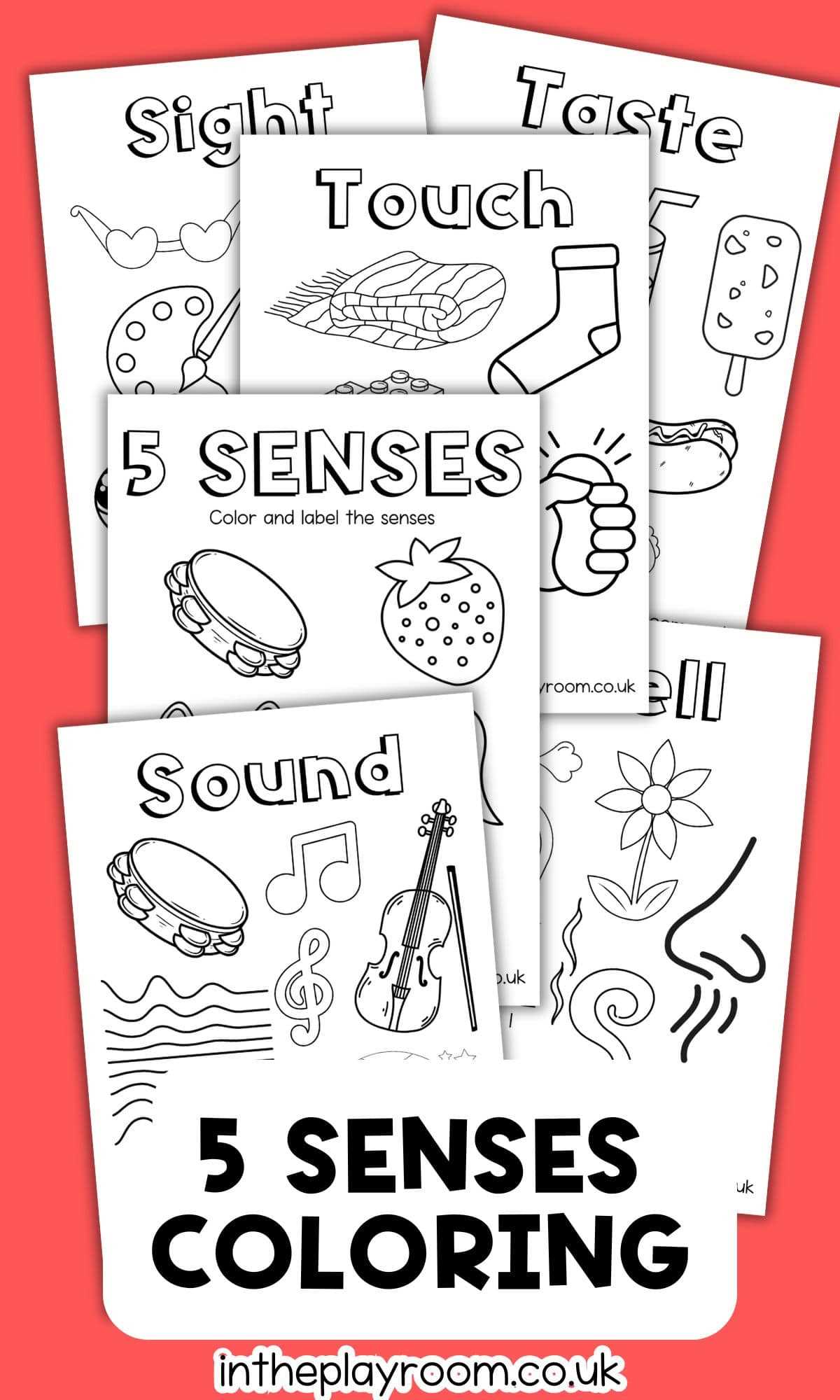 five senses printables five senses printables