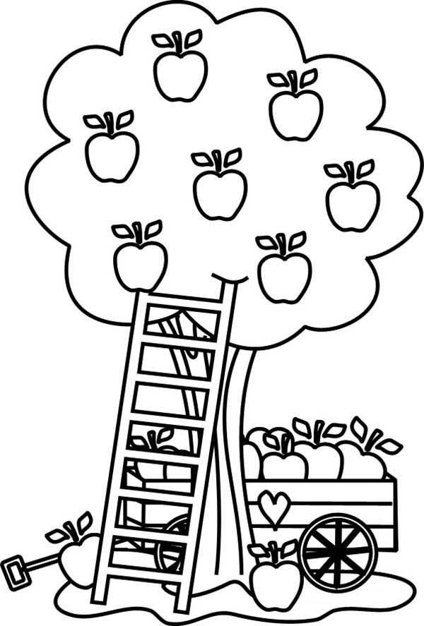 free printable apple coloring sheets
