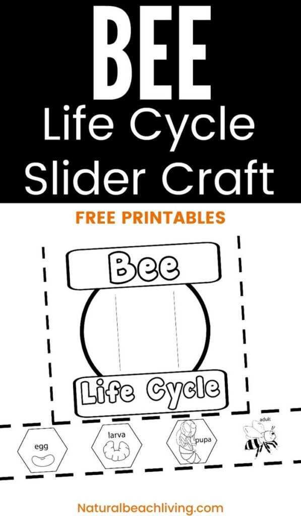 free printable bee worksheets