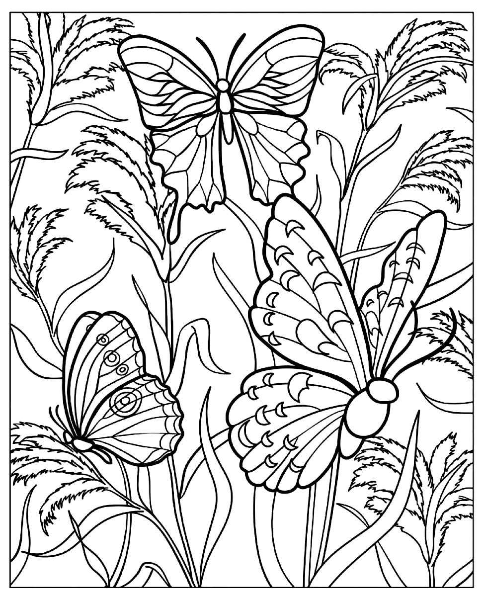 free printable butterfly color pages