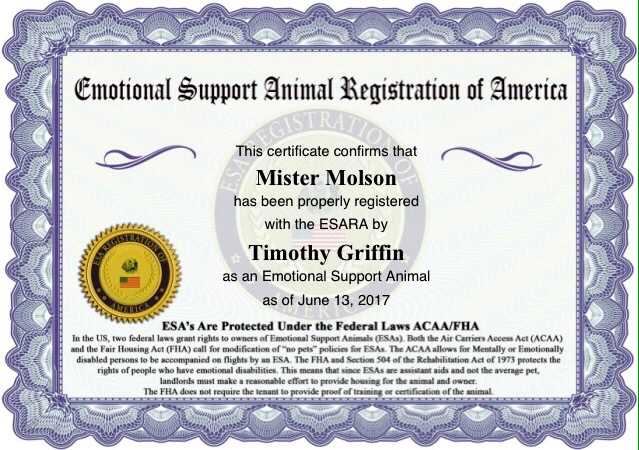 free printable esa certificate free printable esa certificate