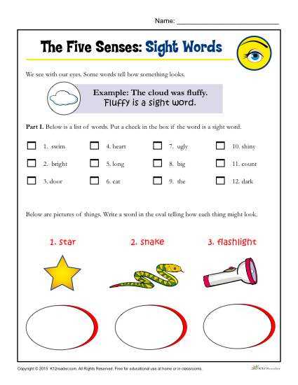 free printable five senses worksheets free printable five senses worksheets