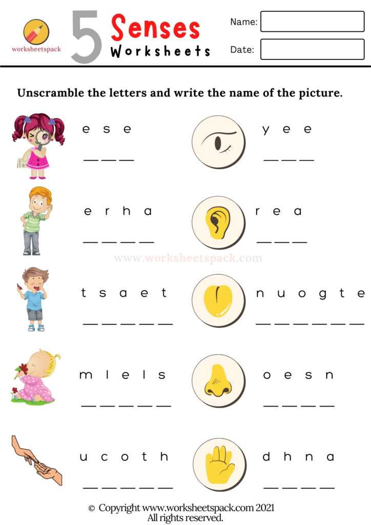 free printable five senses worksheets free printable five senses worksheets