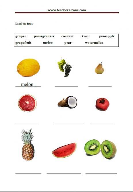 free printable food label worksheets free printable food label worksheets