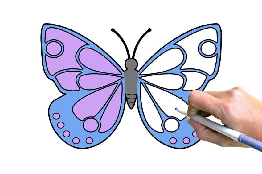 free printable picture of a butterfly
