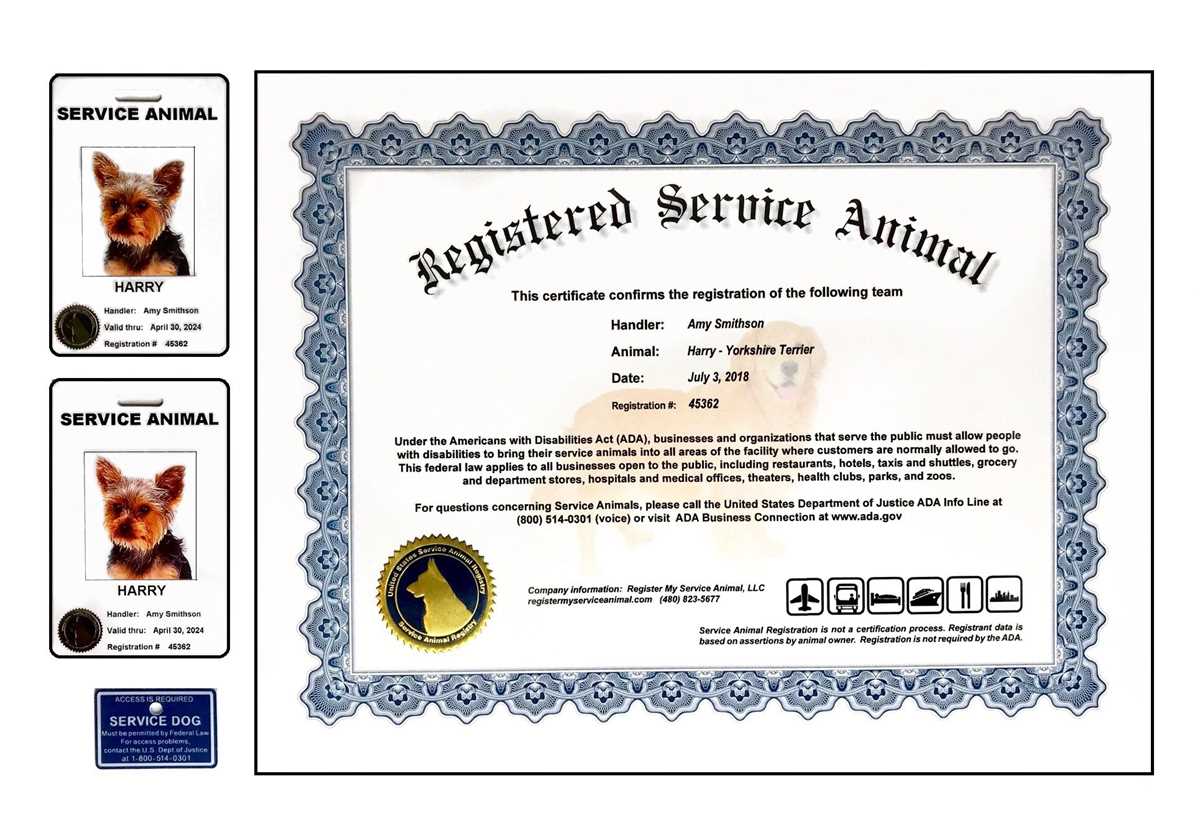 free printable real service dog certification free printable real service dog certification