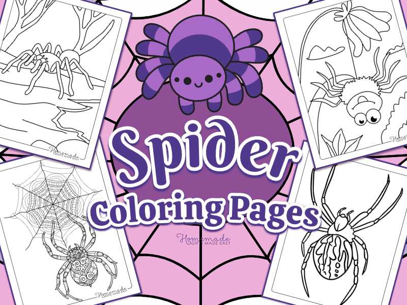 free printable spider free printable spider