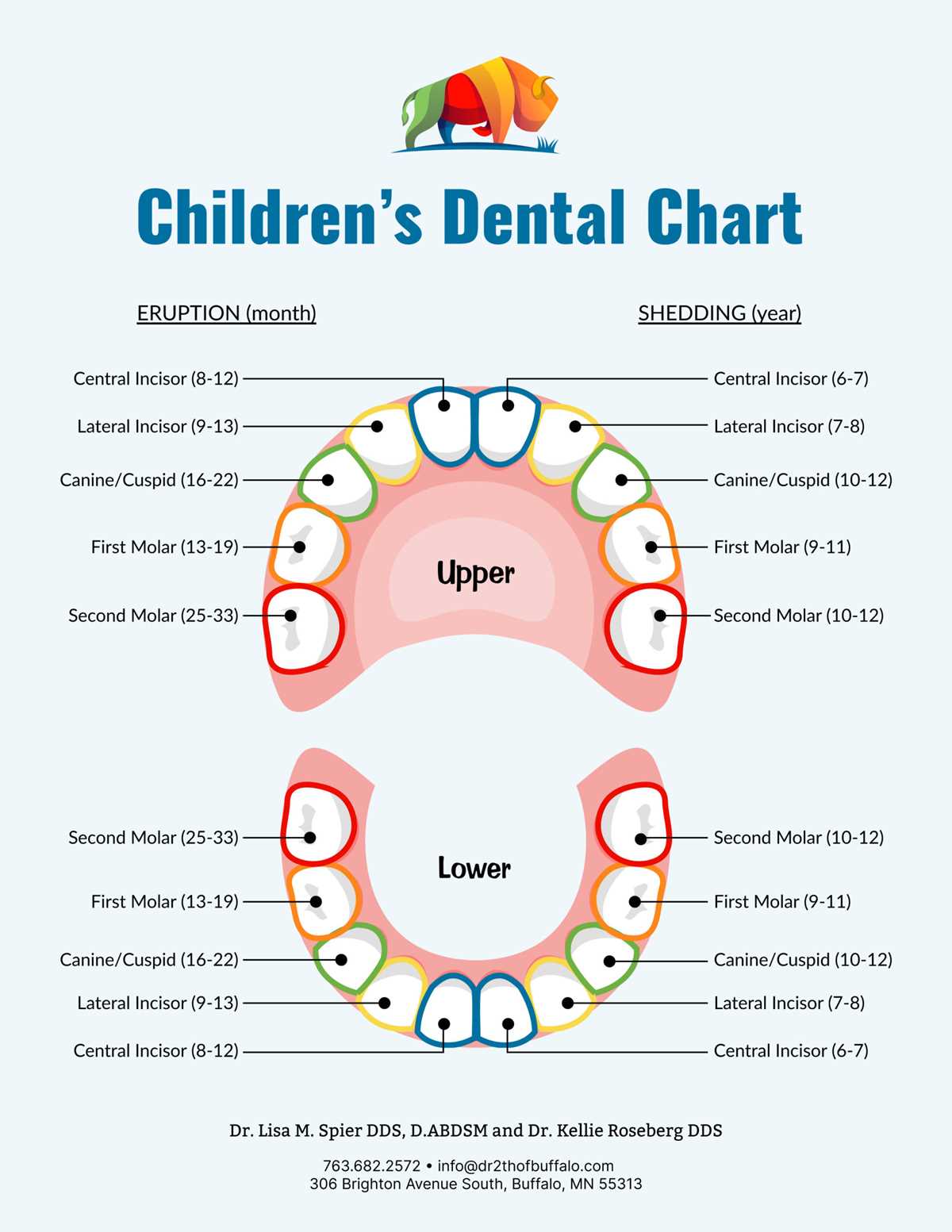free printable teeth chart free printable teeth chart