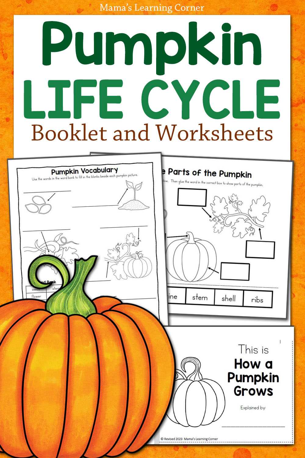 free pumpkin life cycle printable free pumpkin life cycle printable
