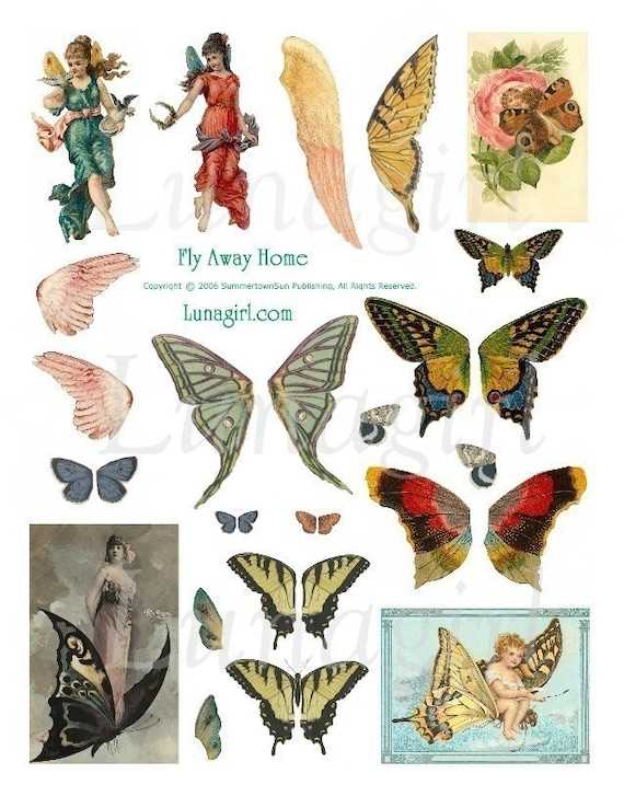 butterfly wings printable butterfly wings printable