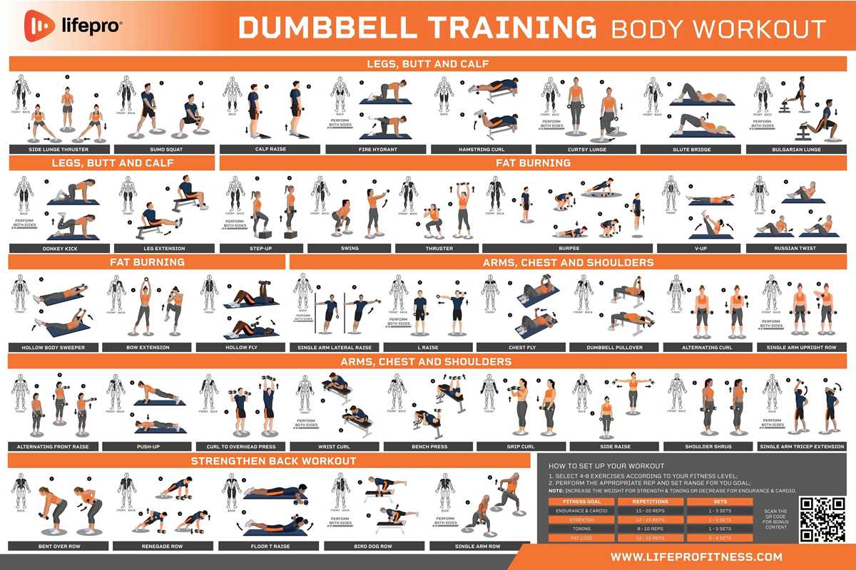 dumbbell exercises chart printable
