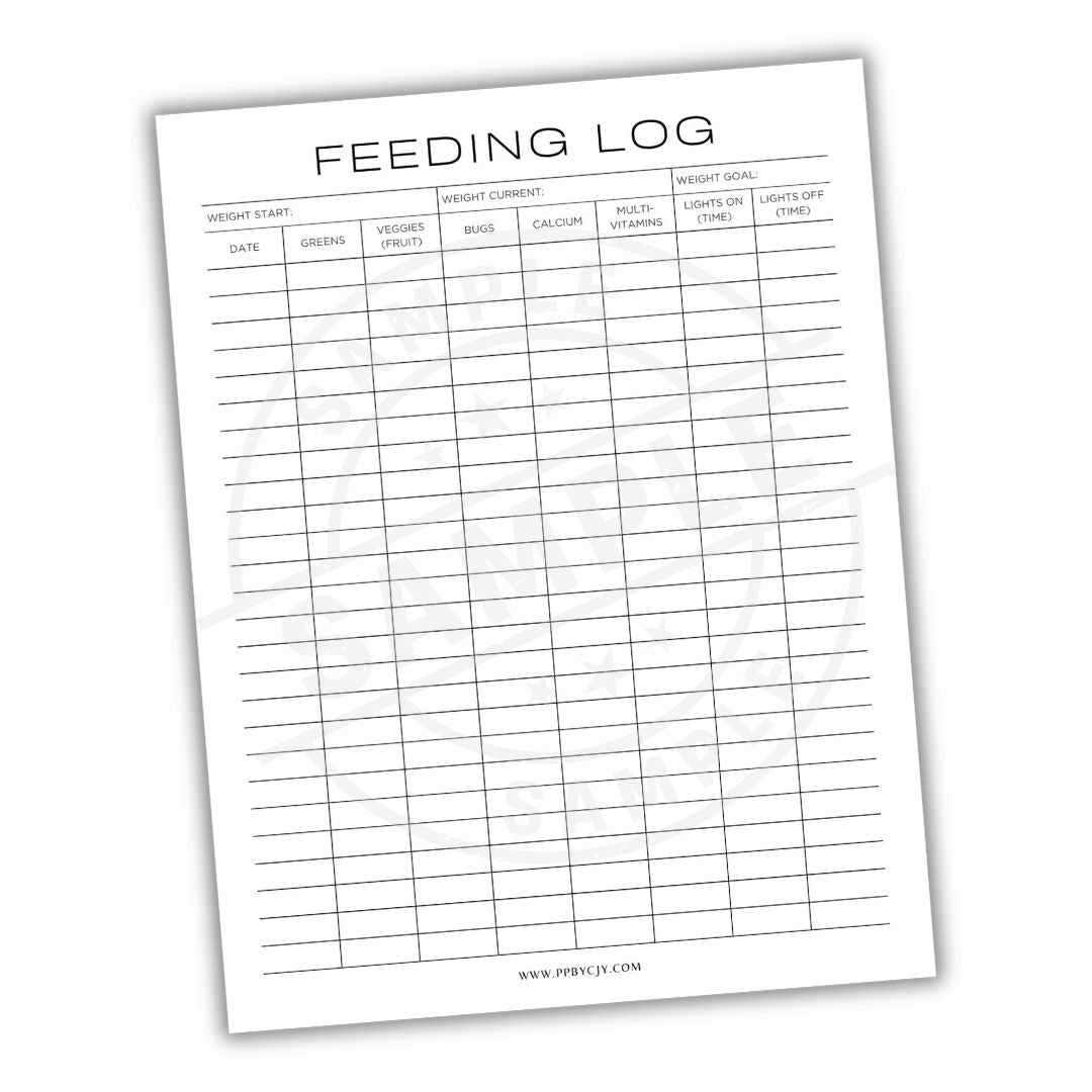 daily routine printable bearded dragon food chart