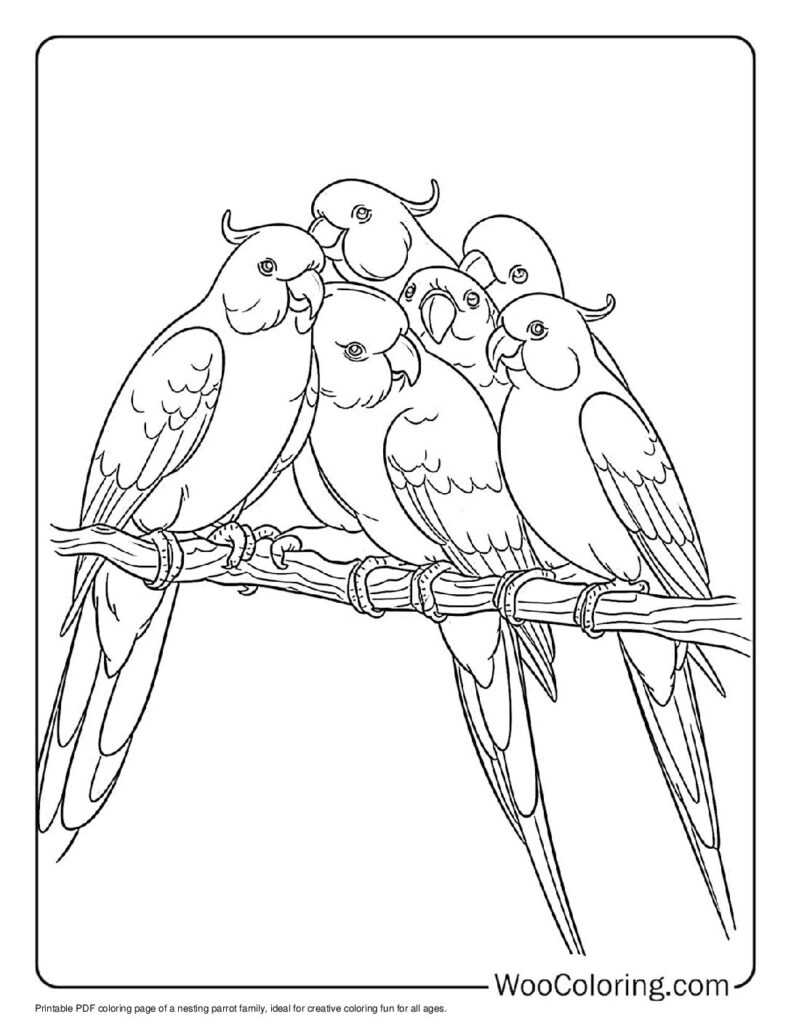parrot outline printable parrot outline printable