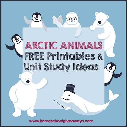 arctic animal printables